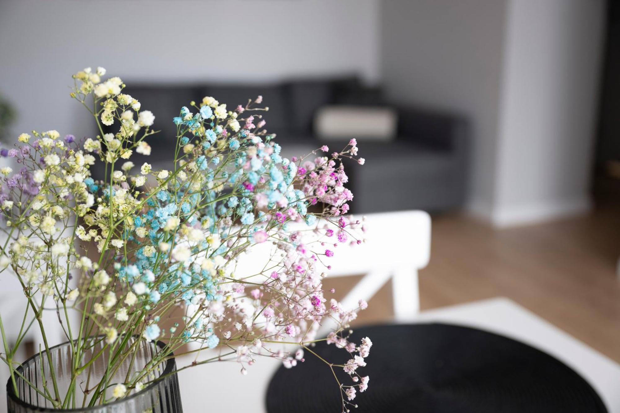Apartamenty Deluxe Gdaňsk Exteriér fotografie