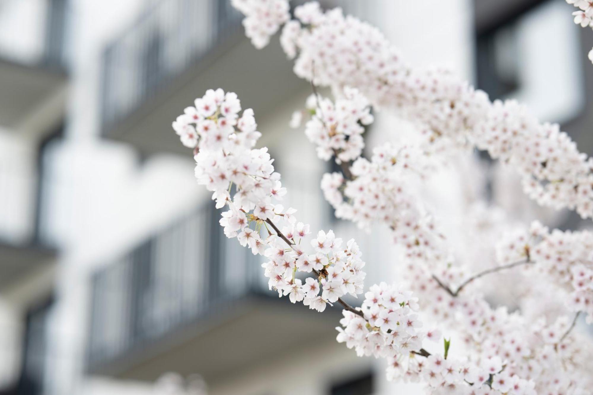 Apartamenty Deluxe Gdaňsk Exteriér fotografie